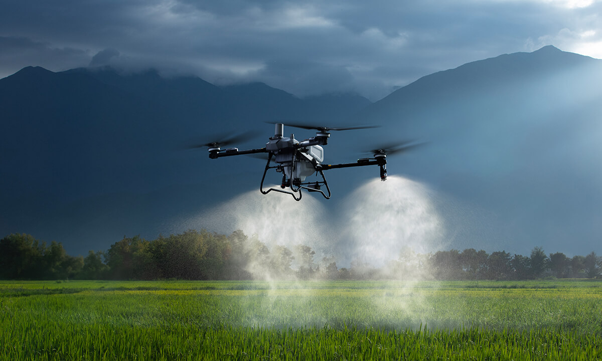 DJI Agras T70 Drone Spraying Crops